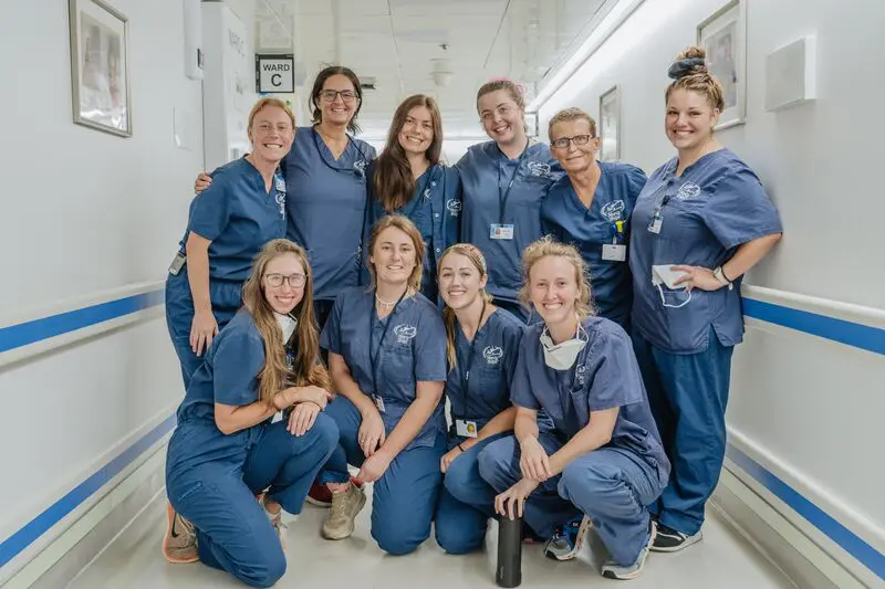 International volunteer Nurses and physicians in the hospital corridor