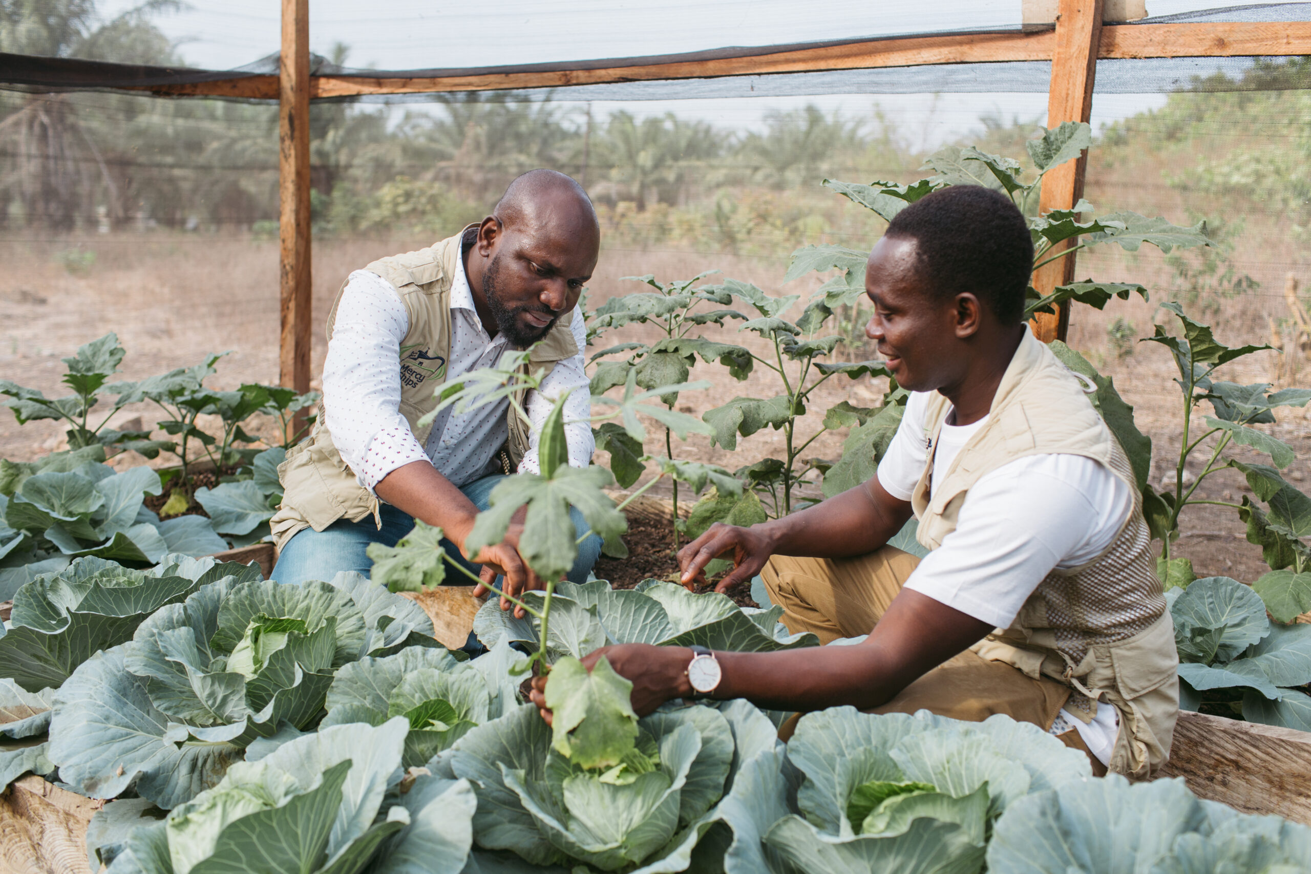 AGRICULTURE PROGRAM