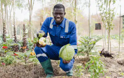 From Surgery To Sustainable Agriculture: Baba’s Journey To Transformation