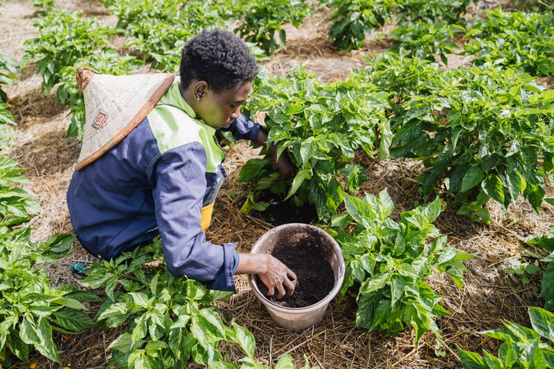 The Food for Life program participants add the Global Mercy food waste compost to their site compost to increase soil nutrition.